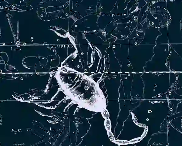 關於水象星座的二三事