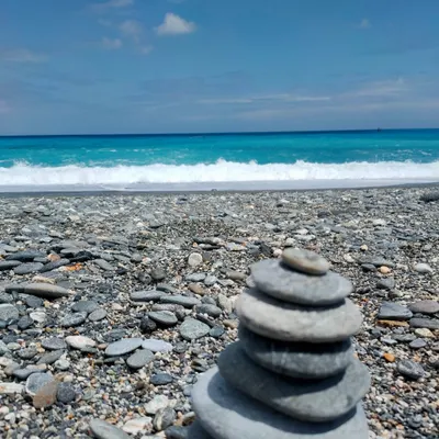 姍姍來遲的沙龍