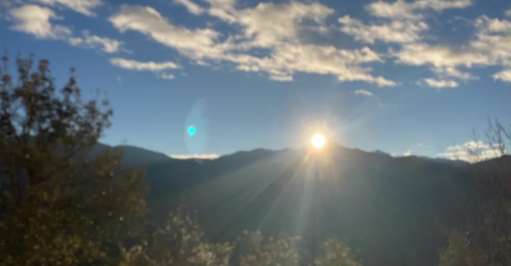 迷途羔羊入虎口—公職入門與靈性思維