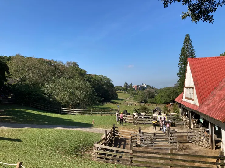 讓人心曠神怡的風景