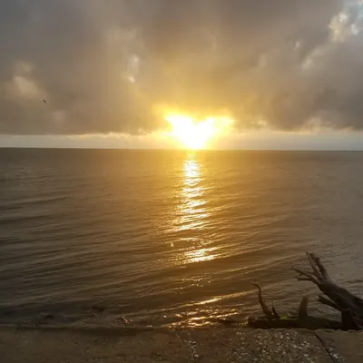 singaporecolin的沙龍