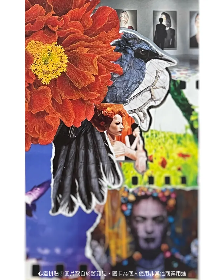 【2024年度卡-綻放】，說話的是那朵紅花