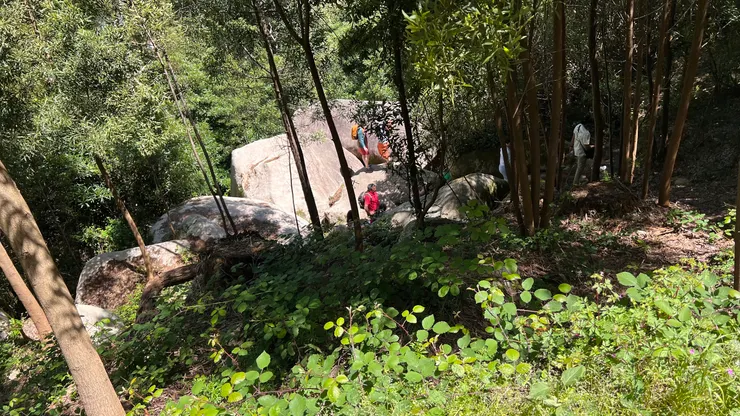要轉進林蔭小徑
