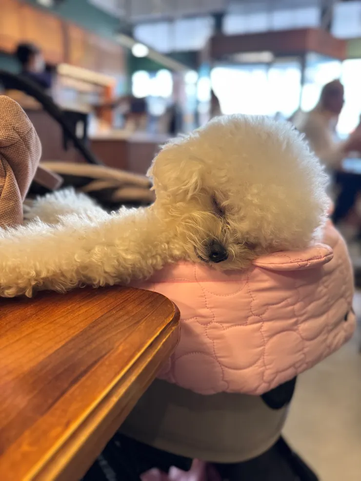 有講話聲,特好睡😅