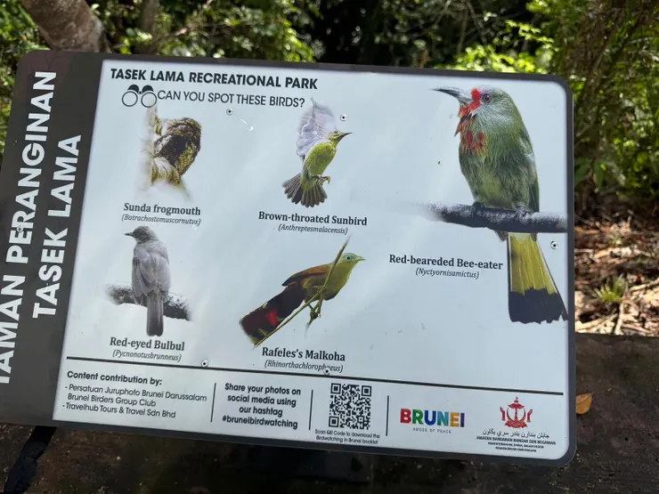 園内也有觀鳥看板