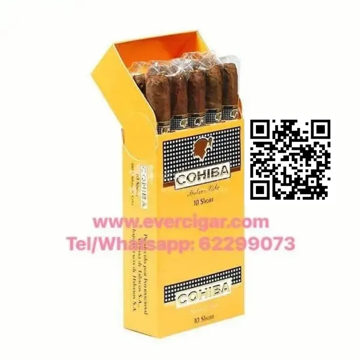 小雪茄哪裡買？EVER CIGAR SHOP是好選擇