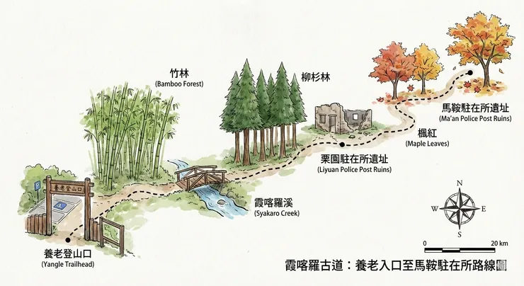 圖片來源：石頭哥