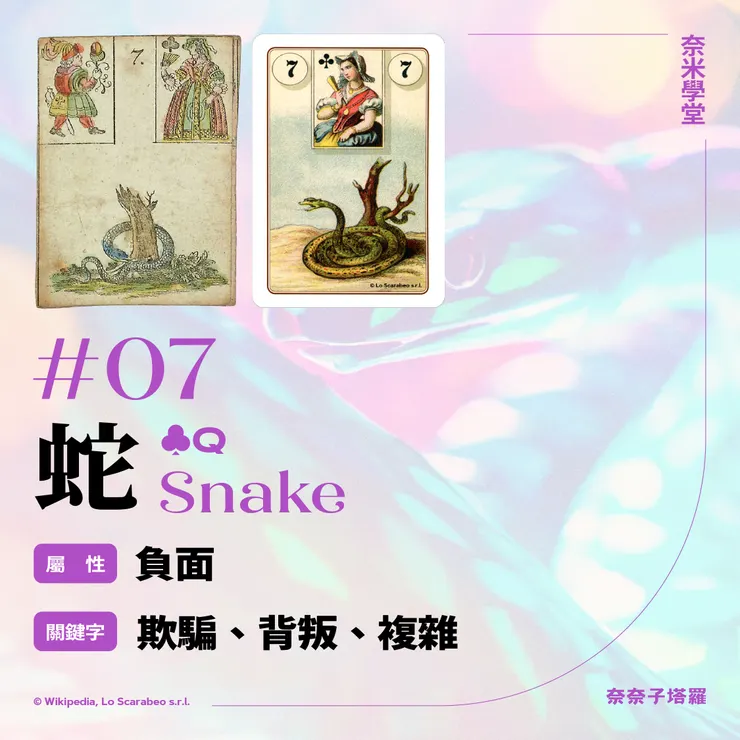 #07-蛇
