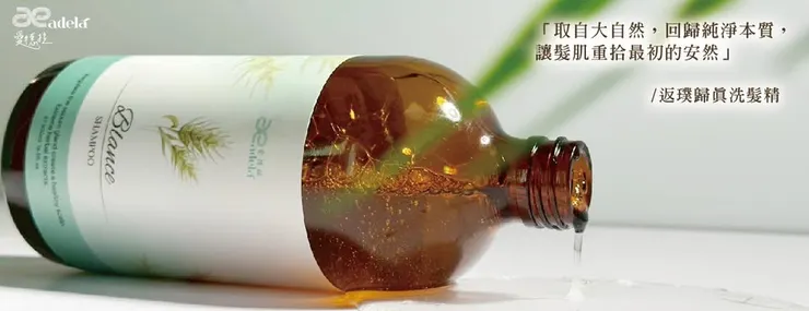 2026年最新 Adela 愛德拉 折扣碼/優惠碼/折價券/優惠券/優惠資訊大整理