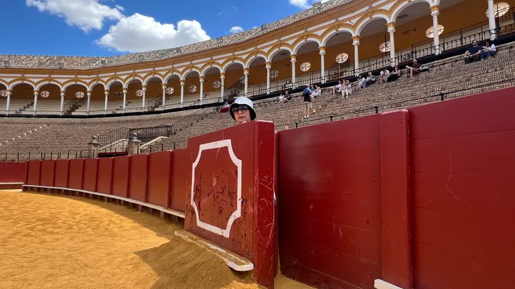 周圍有木柵欄讓鬥牛士閃避用， 木板上有很多牛角衝撞痕跡。