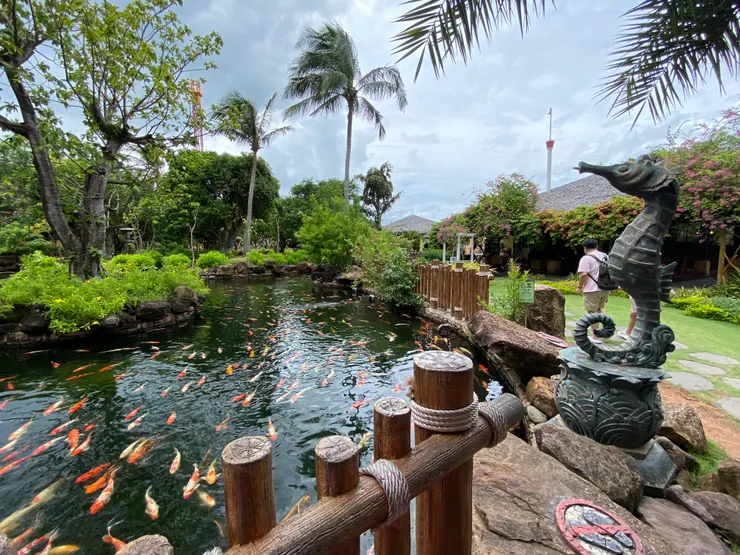 有點像光復糖廠的錦鯉