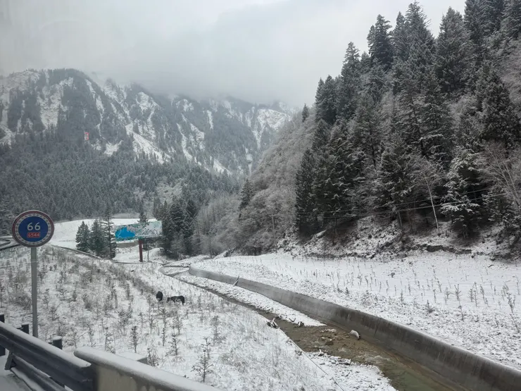 道路兩旁的雪景