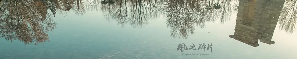 風之碎片 Fragmentos del Viento