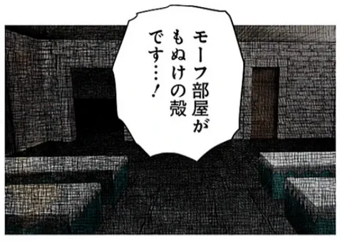 raw-image