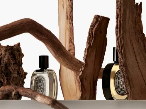 木質調是很多人喜愛的氣味