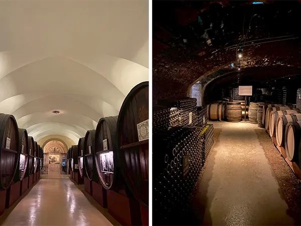 酒窖內部