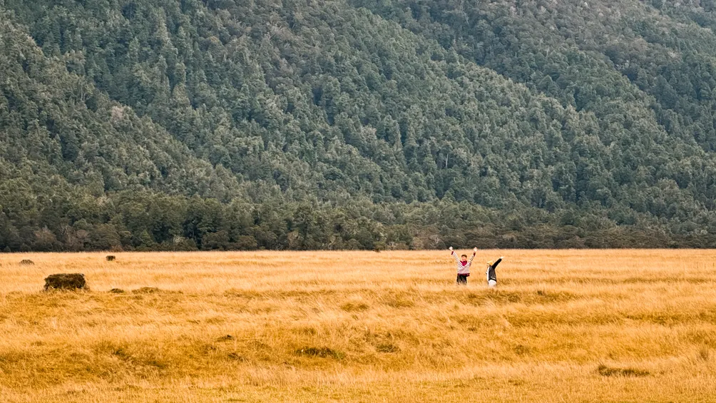 自由概念製作｜源自大鼻邊走邊看的日子