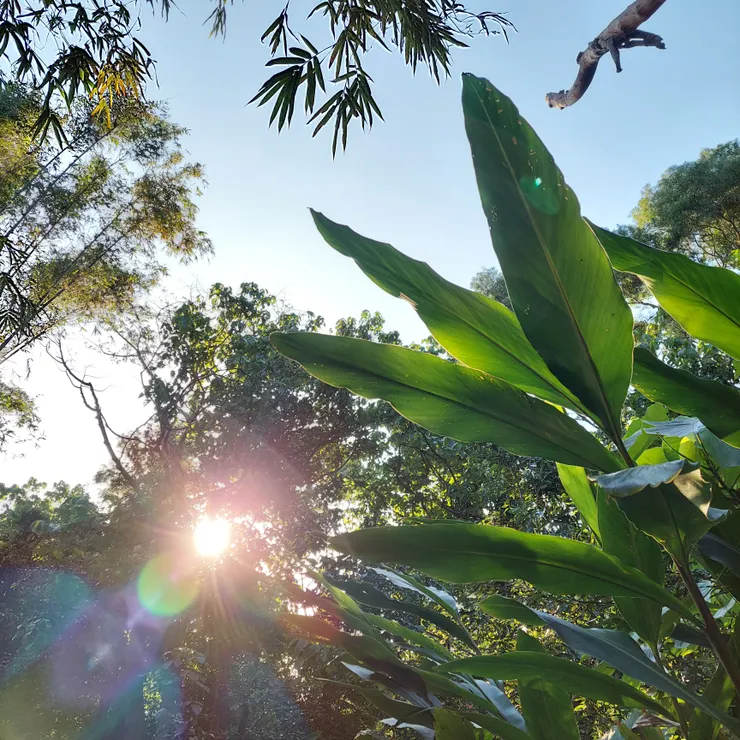 在自家附近公園拍下我的第一人稱視角