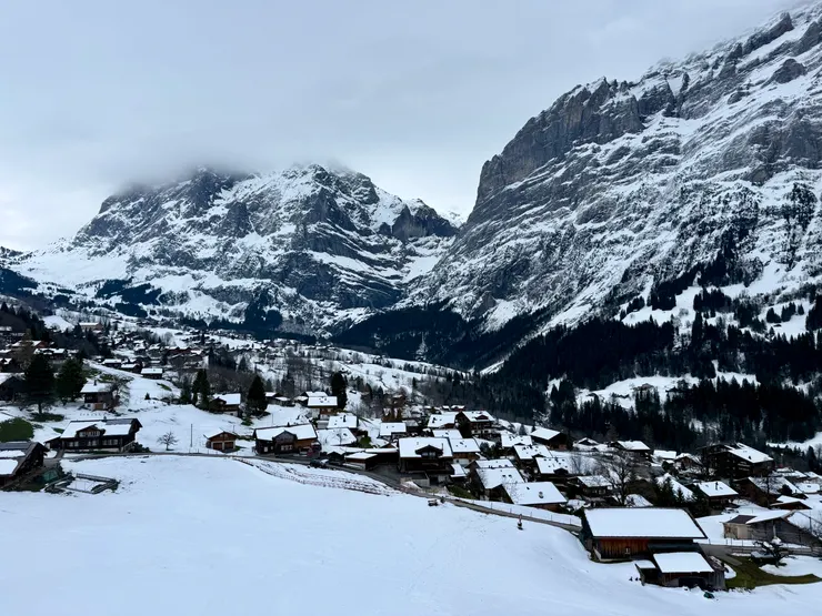 從纜車欣賞格林德瓦