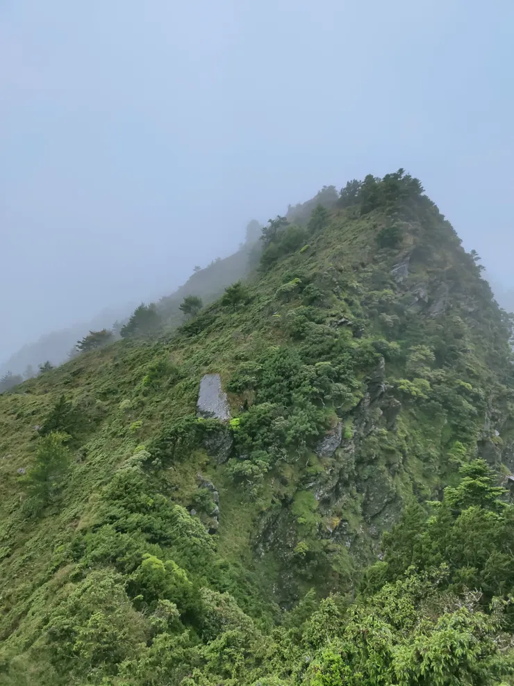 溼答答的稜線上沒拍幾張照片,以此示意小關山前最陡峭的稜線。