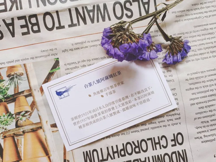 MIKADO帝鐸茶館立體茶包禮盒 - 台茶八號阿薩姆紅茶