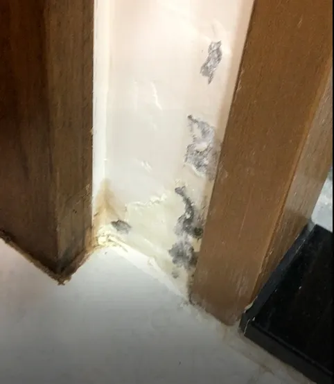 防水劑施作前得將油漆牆面刮乾淨，這是刮過後，油漆脫落的區塊更大，更醜了