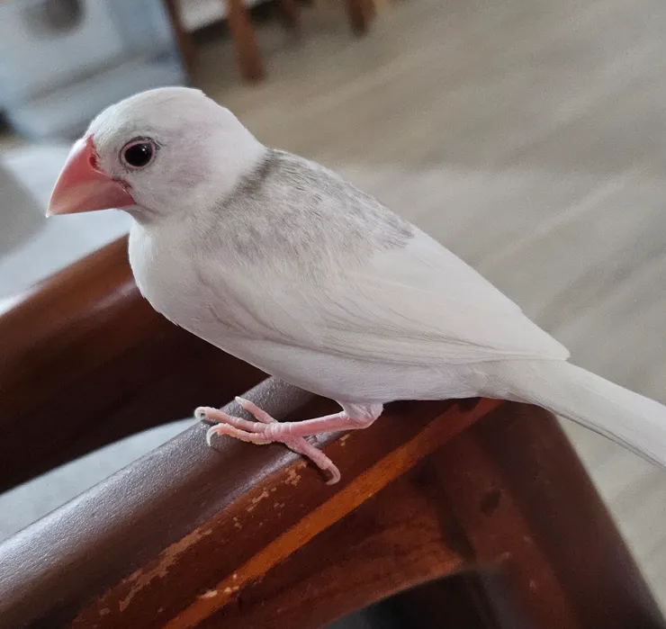 請妳分擔部分的手機費,謝謝。