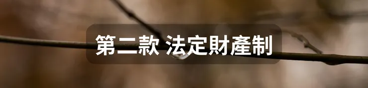 第二款 法定財產制