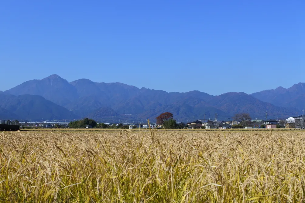 Why Not Reading 的沙龍