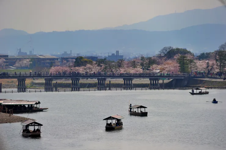 接著往天龍寺去，既不趕早，就好整以暇慢走！此時大堰川上已滿是遊船。