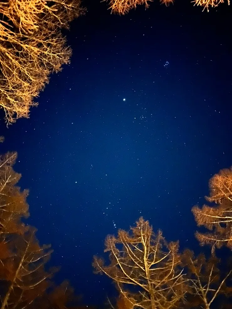 冬日的輕井澤夜空繁星點點