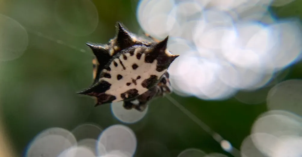在我們週遭隨緣隨玩隨筆分享自然萬物的趣來趣事