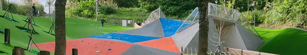 布魯斯的心智訓練天地