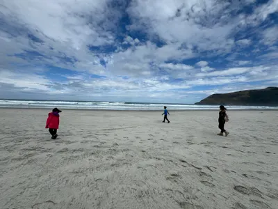 《紐西蘭。秘境》直擊野生海豹的Allans beach🦭