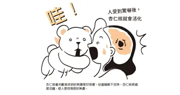 擷自《換上原子習慣腦》