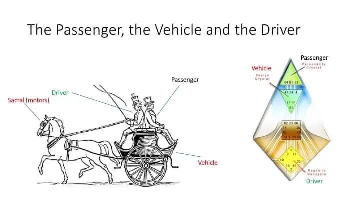 圖源：互聯網/FB群組