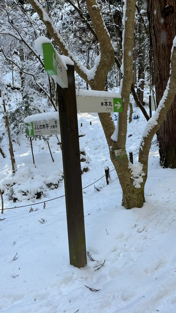 因為路況不算太好，小小繞一圈就好