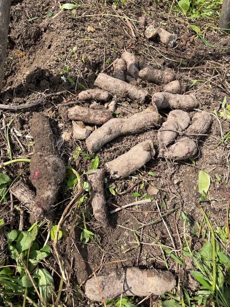 努力幾個小時的成果