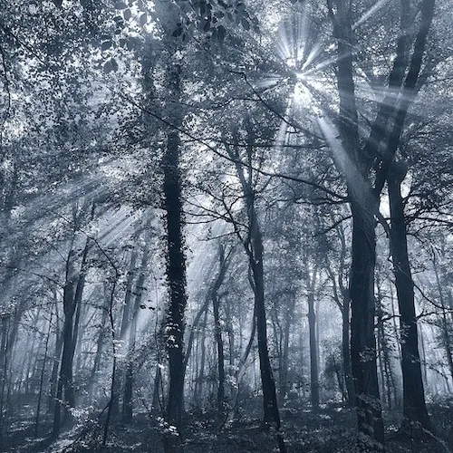 Photo by David Whyte