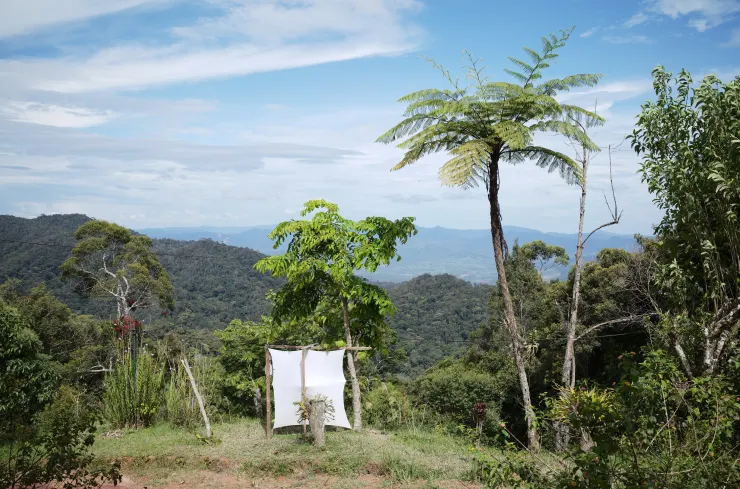 叢林少女營地山莊向外望一景