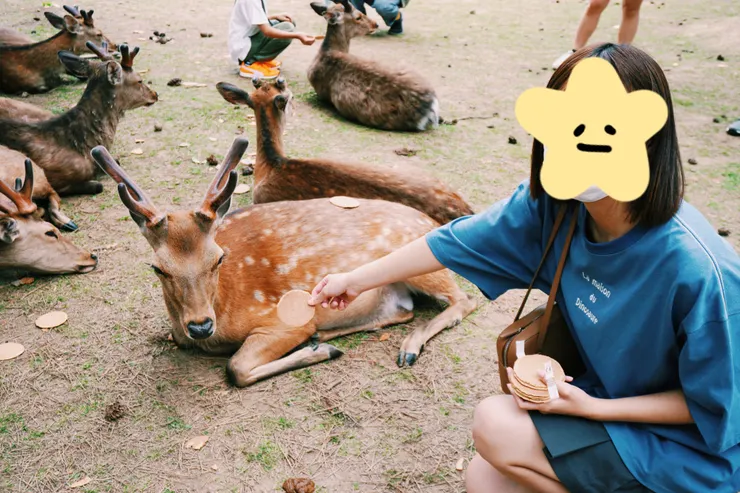 ＃朋友手上仙貝直接被無視