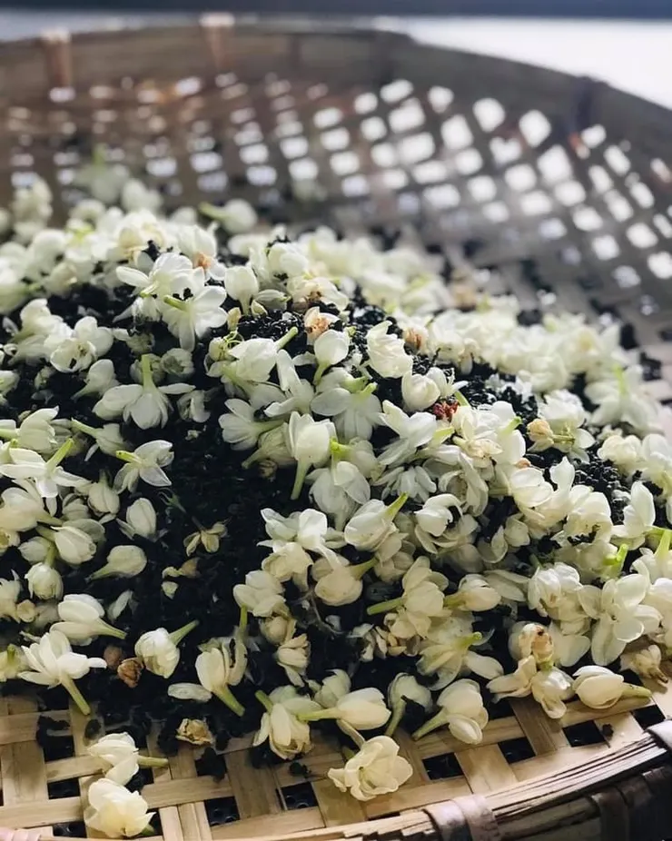 照片來源:花滿蹊