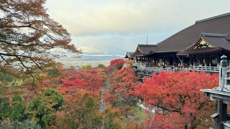 清晨早起拜訪人少的清水寺