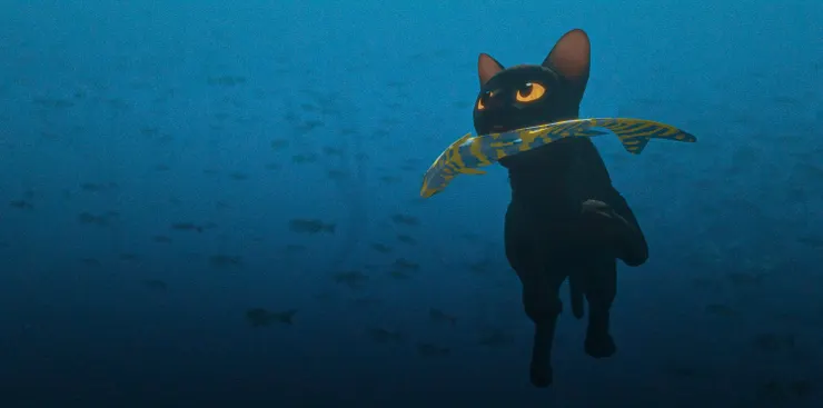 圖片來源：網路