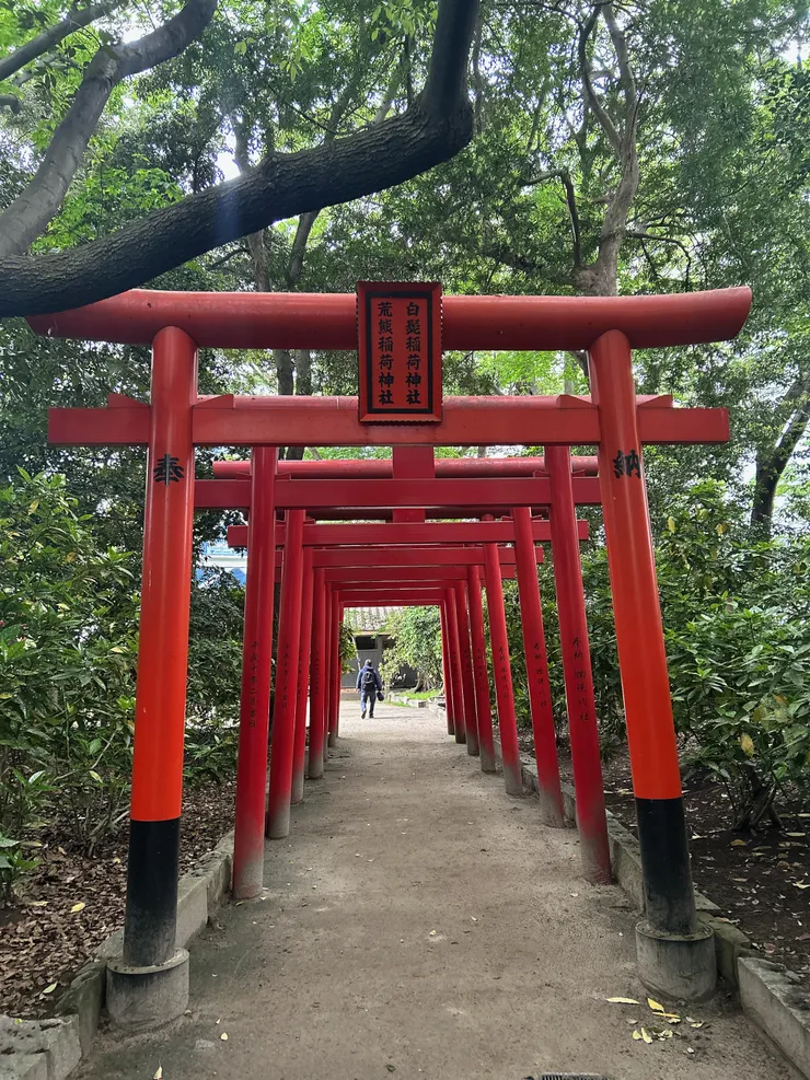 雖然已在不少神社都見到過這樣的配置，還是忍不住拍照。