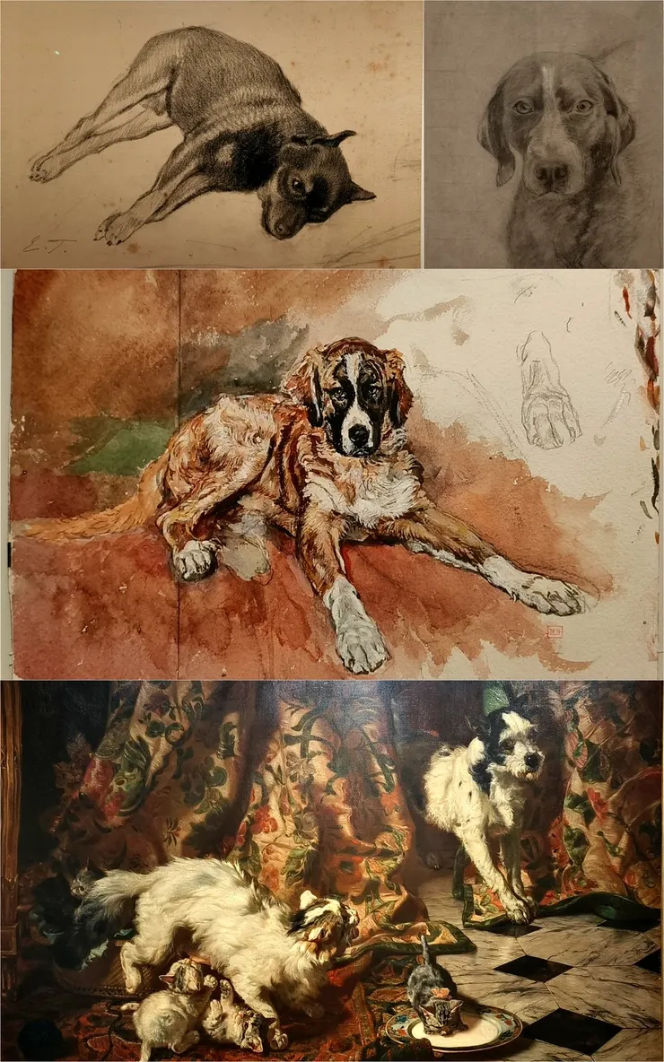 【讓-路易·歐內斯特·梅索尼埃 (Jean-Louis Ernest Meissonier) ：《馬可，藝術家的聖伯納犬》 (Marco, the Saint Bernard dog of the artist)。】