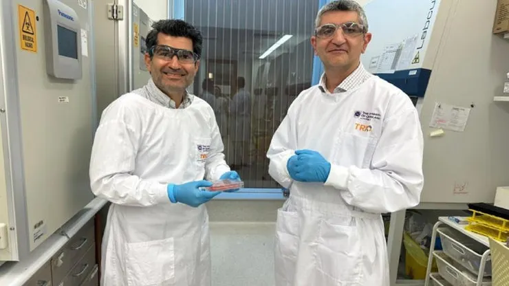 昆士蘭大學（University of Queensland, UQ）的研究團隊。Abbas Shafiee 博士（左）和 Kiarash Khosrotehrani 教授在實驗室。