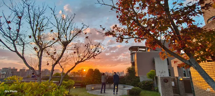 品味一輪春秋感謝冥冥安排巧！2023/1/23樓頂楓紅的黃昏。