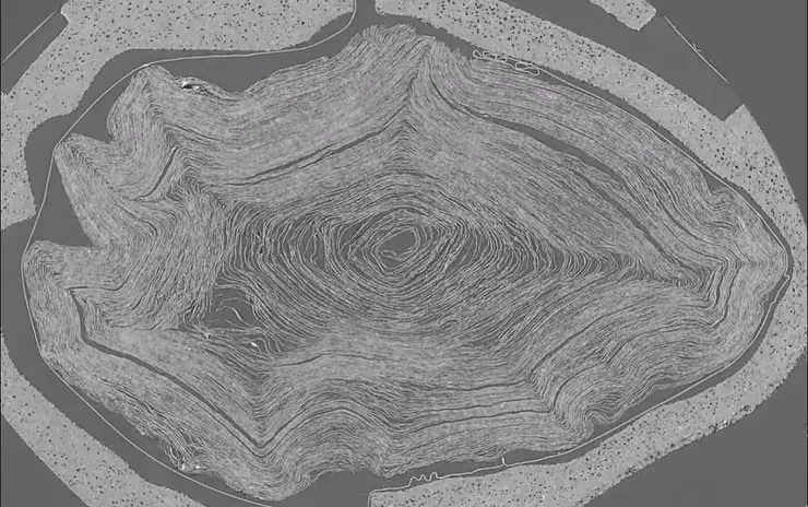 圖片來源：Vesuvius Challenge