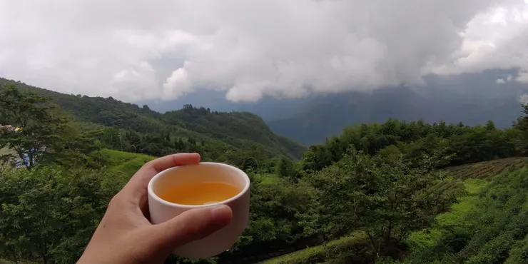 天公伯啊!請告訴我什麼是投資!